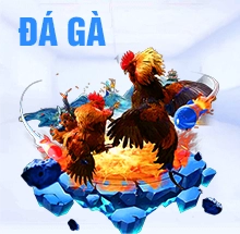 rr88 đá gà